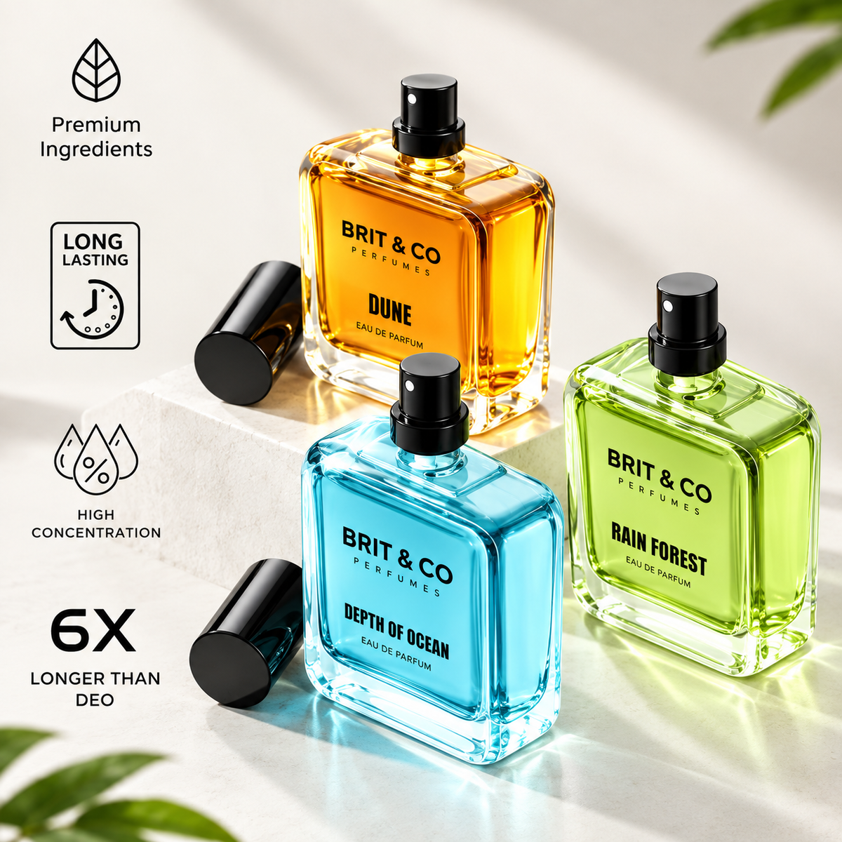 Brit & Co Perfumes | Nature Trio Collection - Pack of 3 Premium EDP